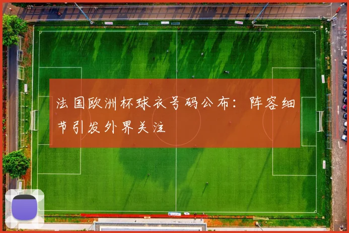 法国欧洲杯球衣号码公布：阵容细节引发外界关注