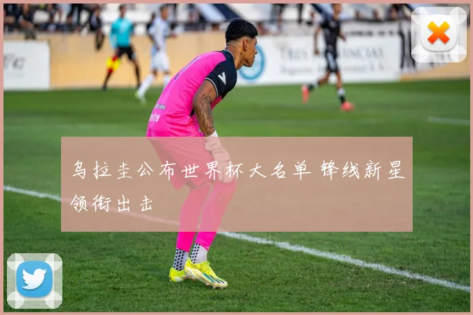 乌拉圭公布世界杯大名单 锋线新星领衔出击