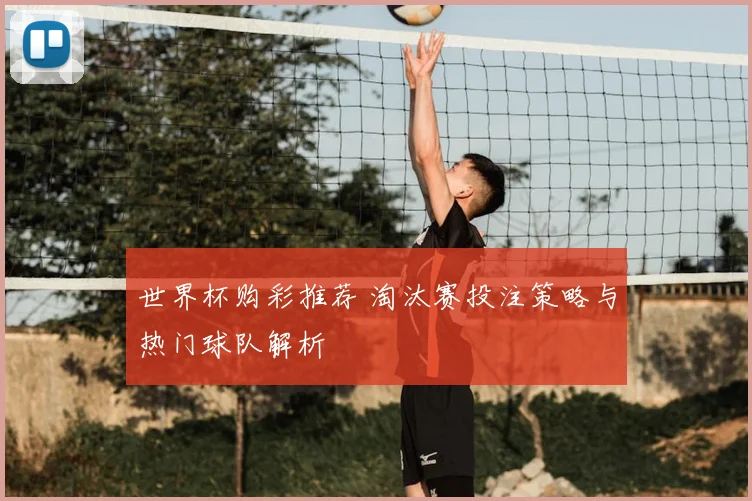 世界杯购彩推荐 淘汰赛投注策略与热门球队解析