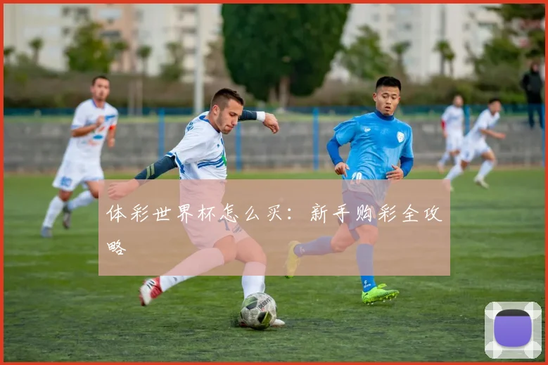体彩世界杯怎么买：新手购彩全攻略