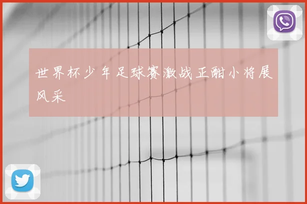 世界杯少年足球赛激战正酣小将展风采