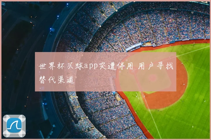 世界杯买球app突遭停用 用户寻找替代渠道