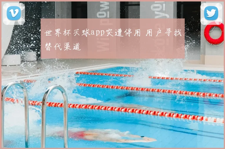 世界杯买球app突遭停用 用户寻找替代渠道