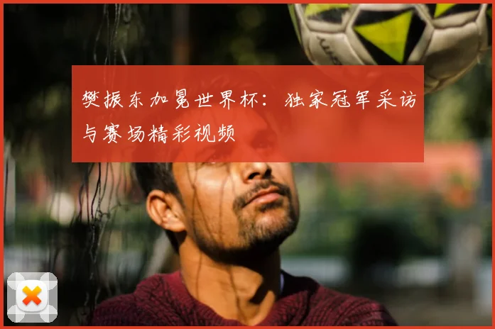 樊振东加冕世界杯：独家冠军采访与赛场精彩视频