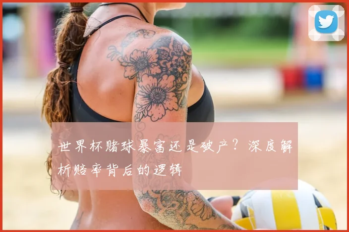 世界杯赌球暴富还是破产？深度解析赔率背后的逻辑