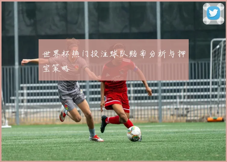 世界杯热门投注球队赔率分析与押宝策略