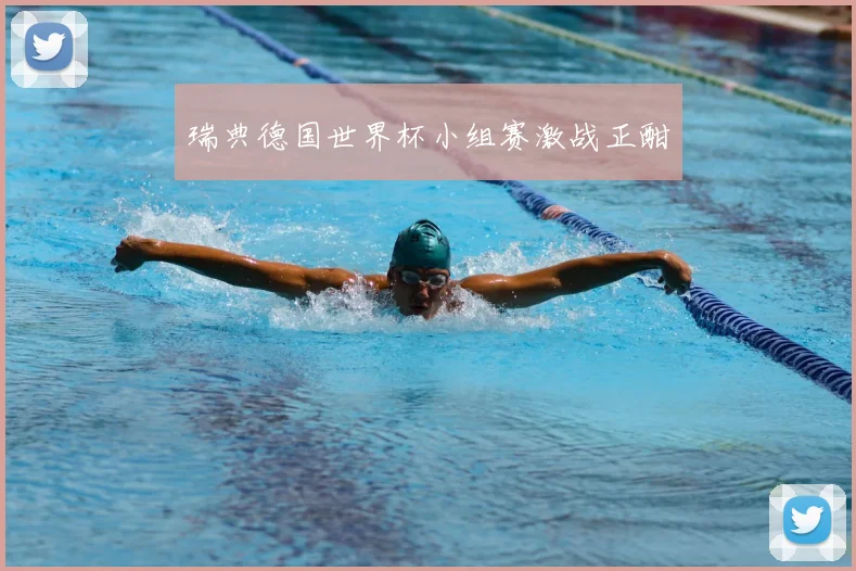 瑞典德国世界杯小组赛激战正酣