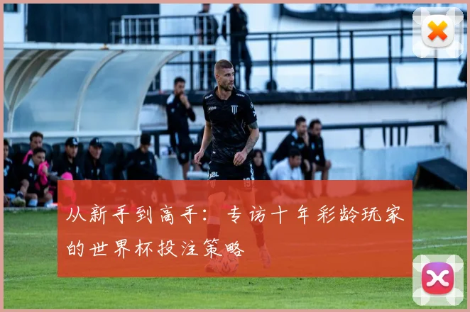 从新手到高手：专访十年彩龄玩家的世界杯投注策略