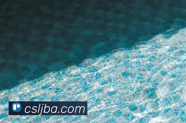 买球官网APP 封面图